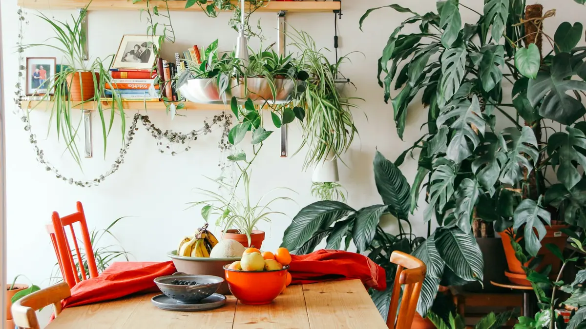 Livet i gjeldsordning: fem år på 11 388 kr pluss boutgifter