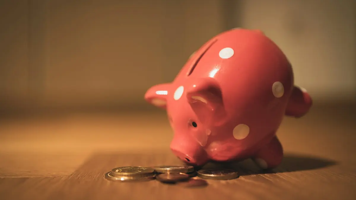 Hvor mye skal man ha å leve for? 8 300 til 11 388 kr for enslig